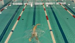 LA-TRIPLE-META-6 LA-TRIPLE-META-6