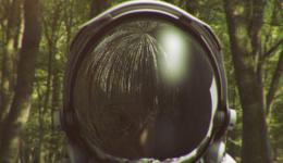 WOOD-Still04-1024x576 WOOD-Still04-1024x576